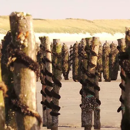 Hébergement de vacances Le Petit Marin *